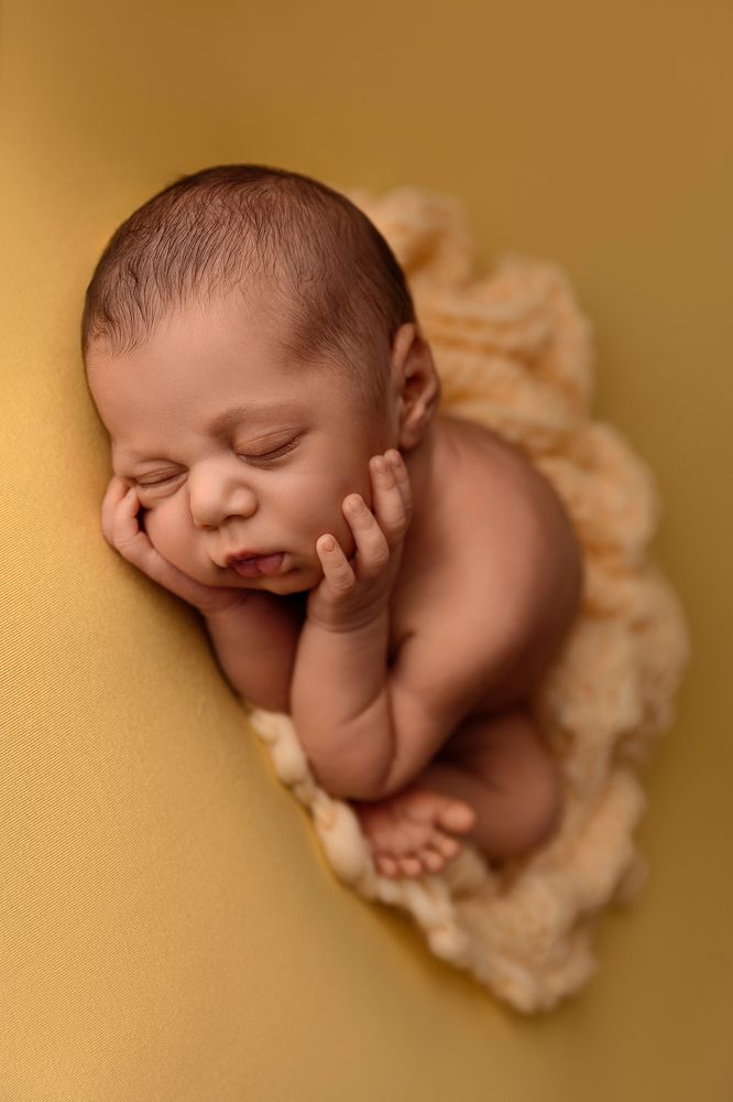 Photograph by Enny Napolitano