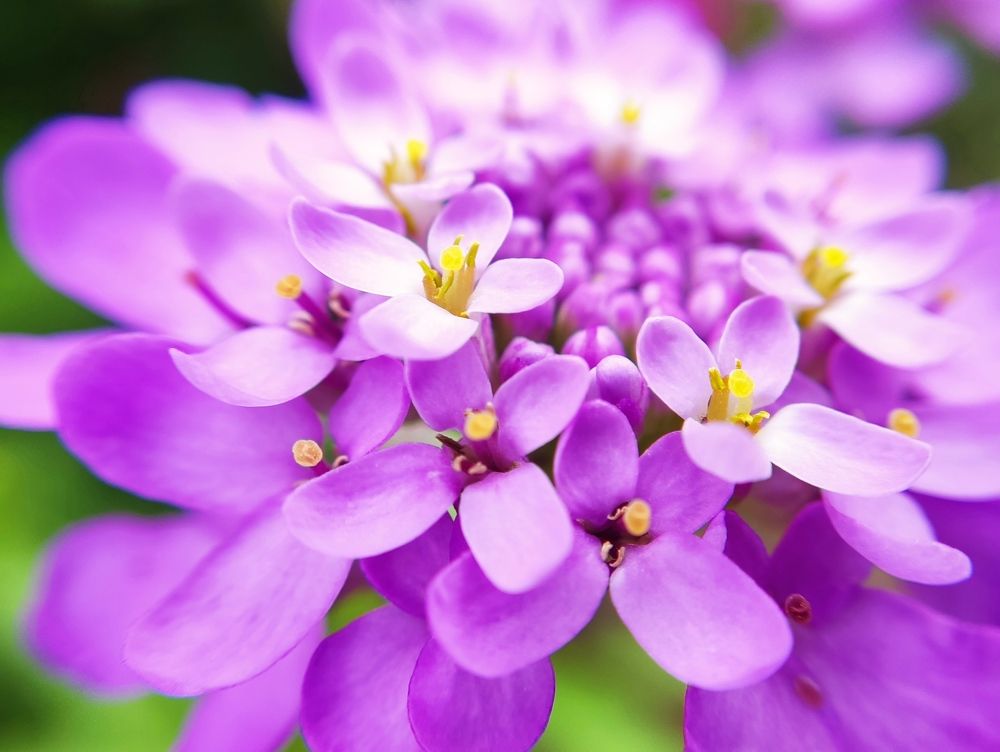 Фотография автора Станислав Ермолин