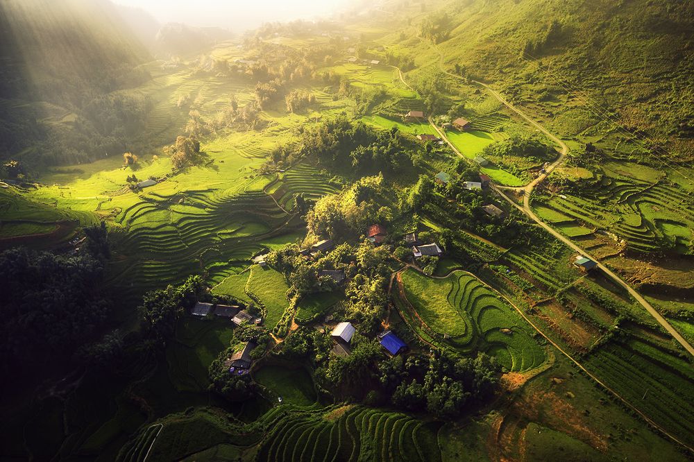 flying over the fields