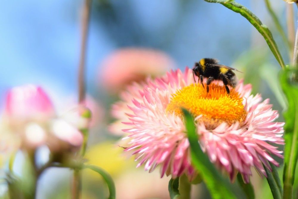 Photograph by Алена Бржезицкая