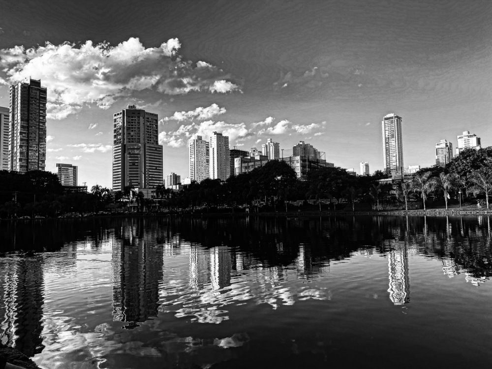 Cogitationes solitudinis (reflections of loneliness)