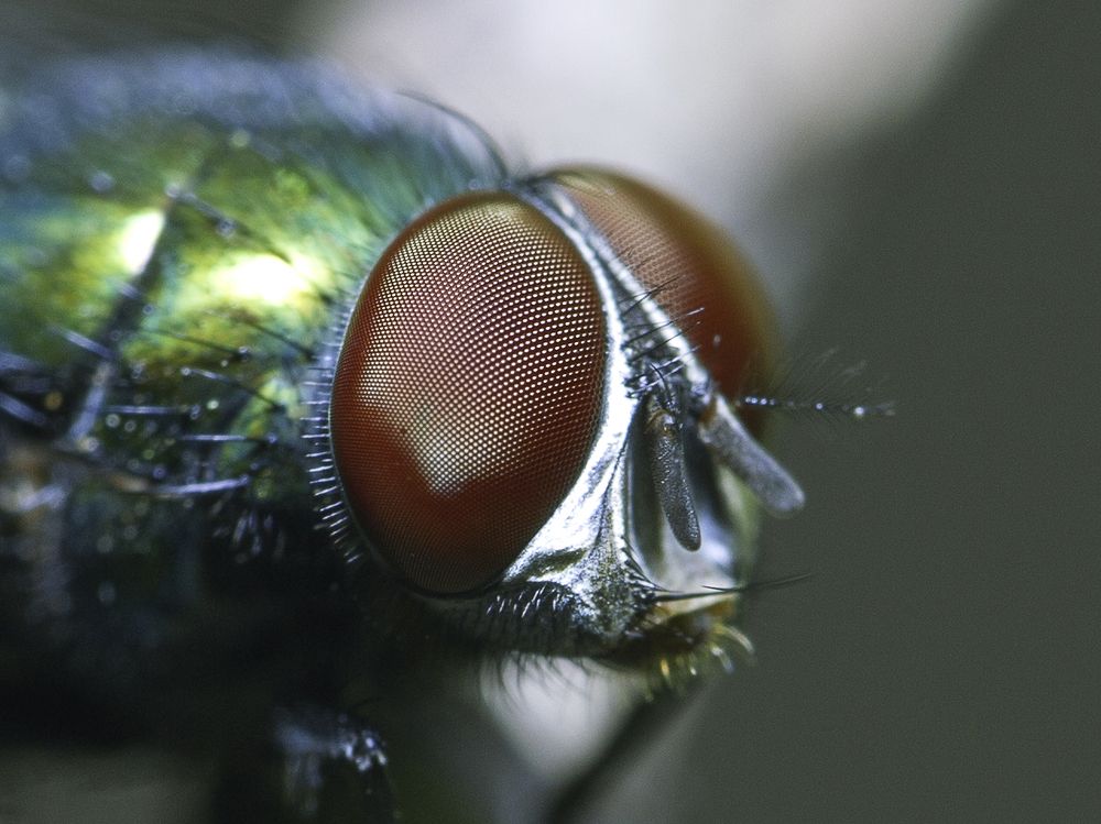 Photograph by Михаил