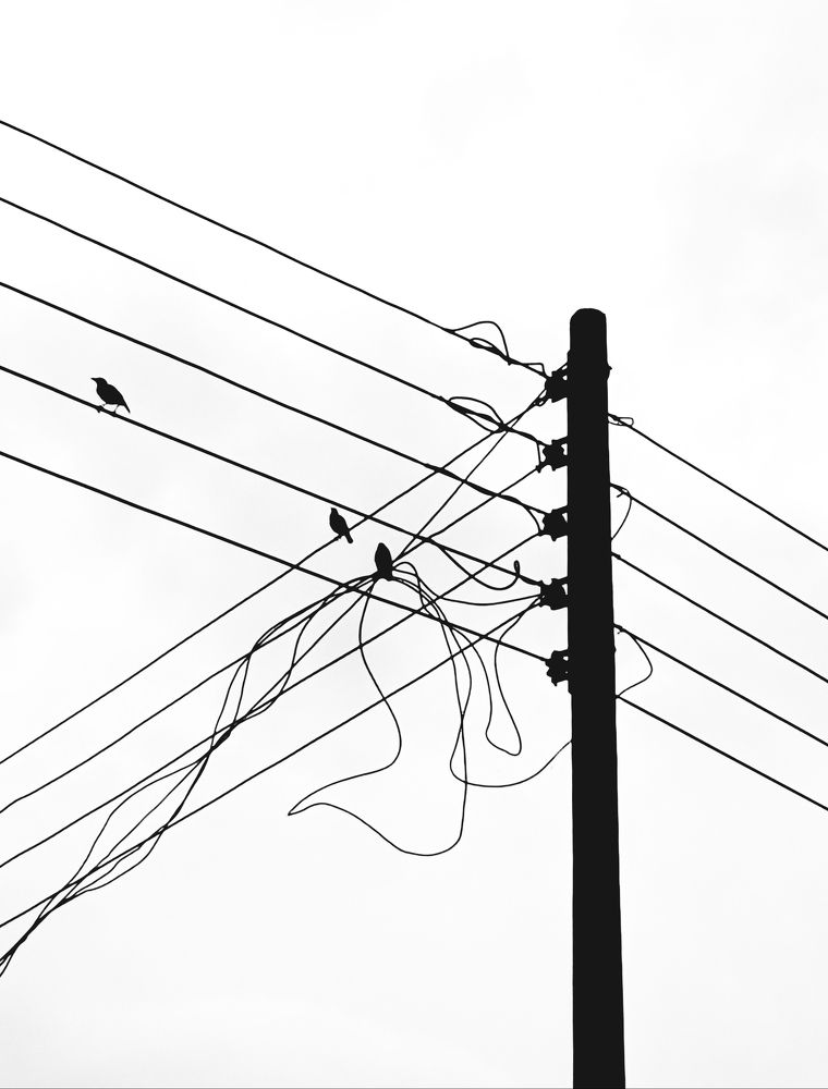 Photograph by Nabila Binte Helal Zinia