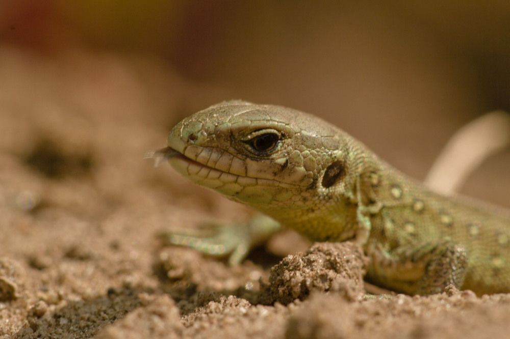 А теперь пора покушать