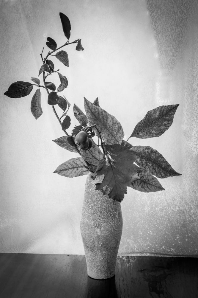 Photograph by Лилия Кондратьева