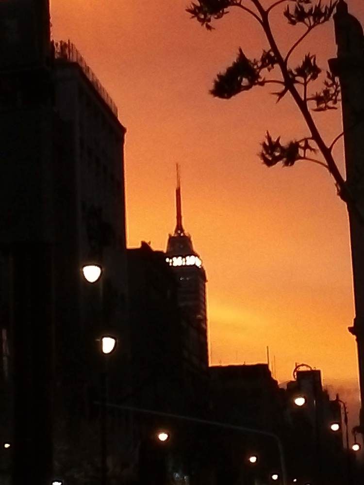 Photograph by José Luis Mendoza Machado