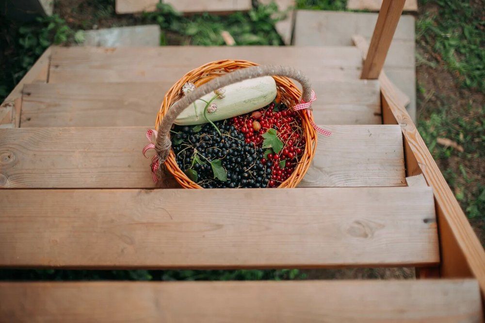 Photograph by Ольга Гаврилова