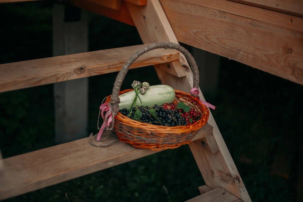 Photograph by Ольга Гаврилова