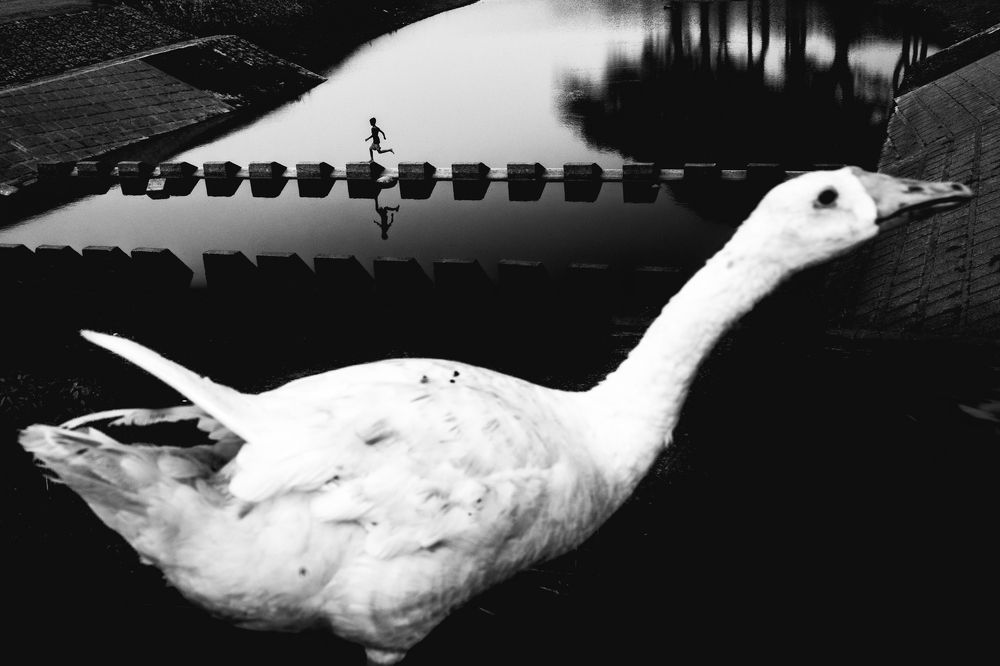 Photograph by Pranto nayan