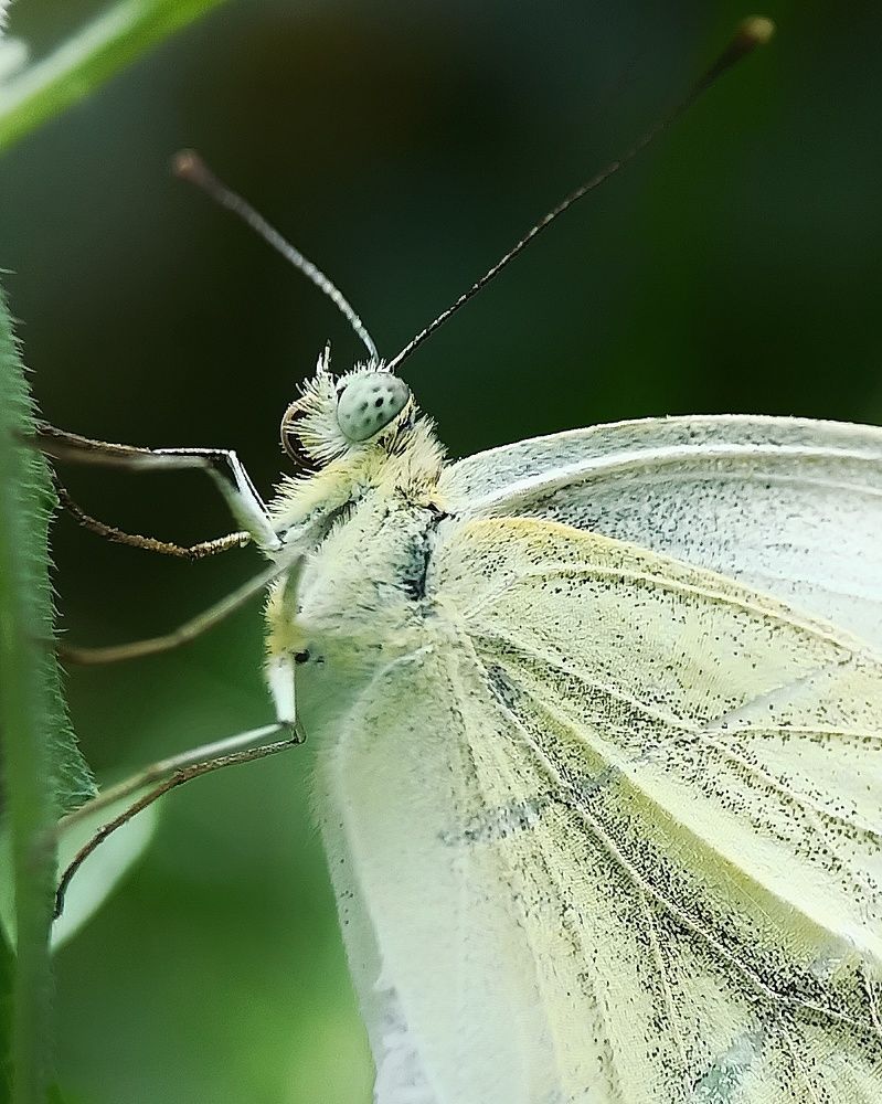 Photograph by Ирина Иванова