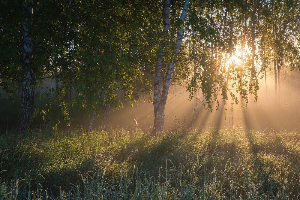 Время рассвета
