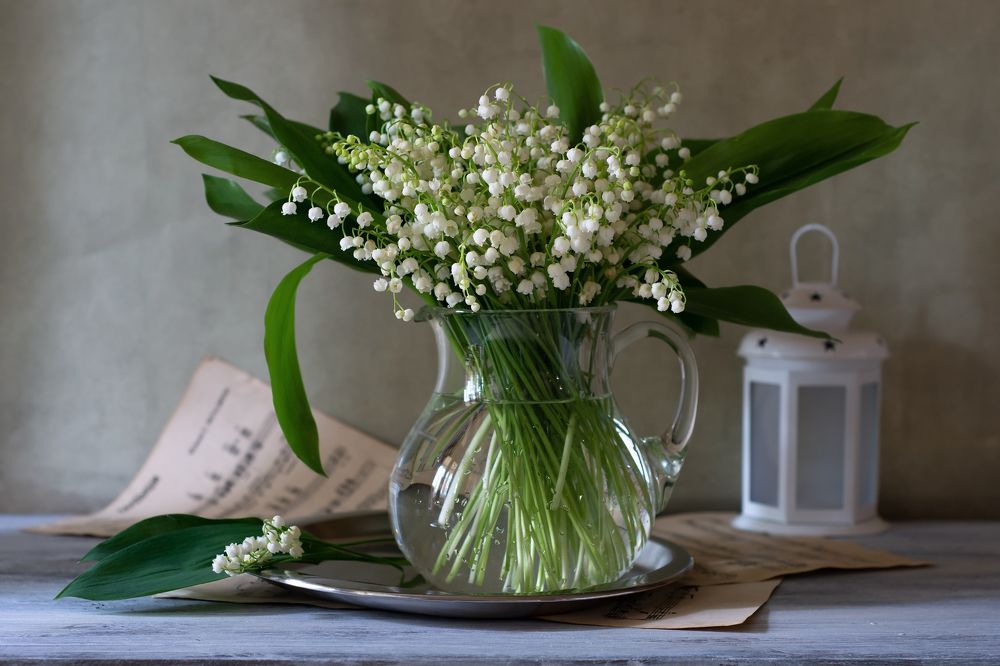 Photograph by Елена Мустафина