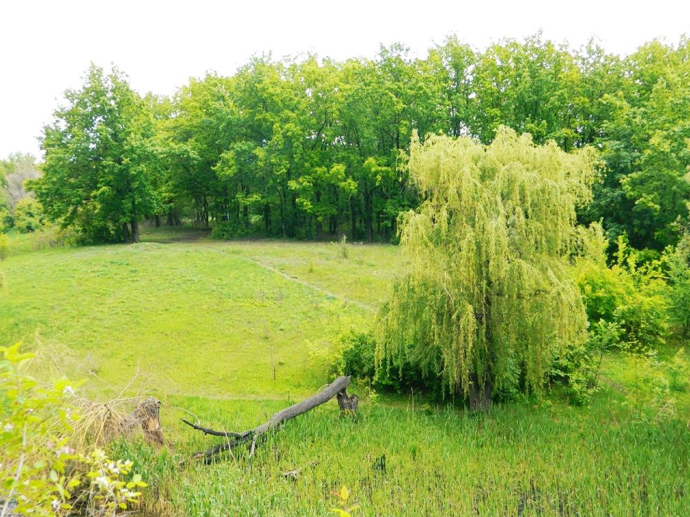 Photograph by Яна Сенчилина