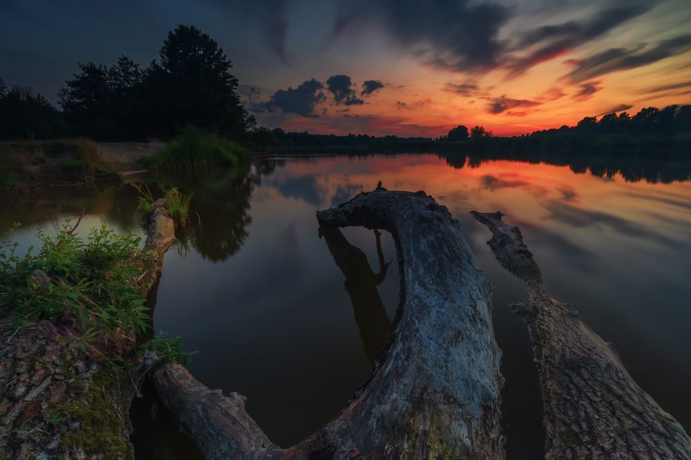 Photograph by 
