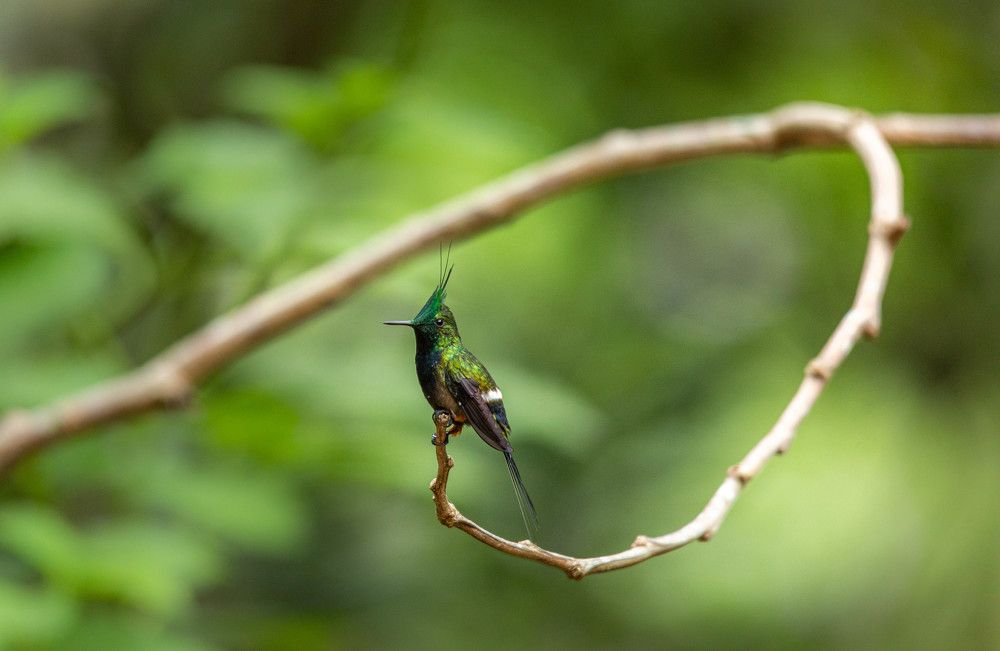 Photograph by Flavio Huamani