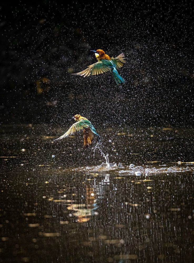 Photograph by Ashiqur Rahman