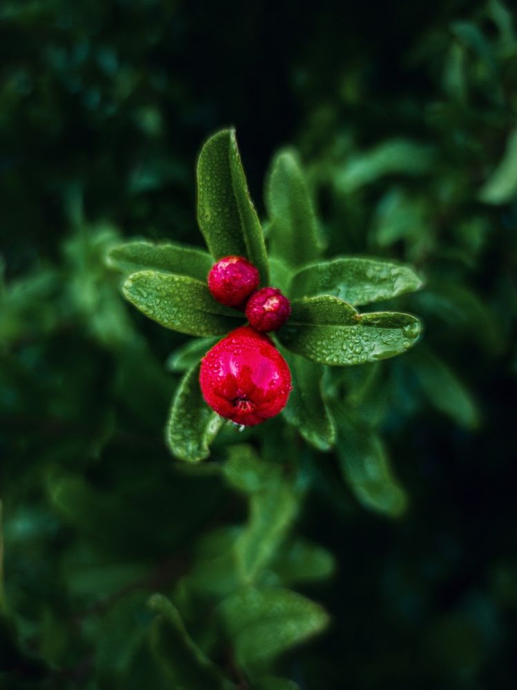 Photograph by Алексей Писаренко