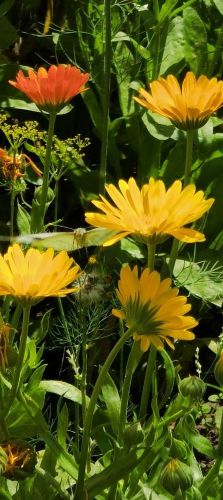 Photograph by Aleksandrs Konstantinovs