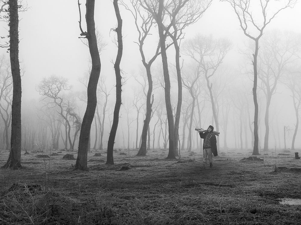 Photograph by Slobodan Cavic