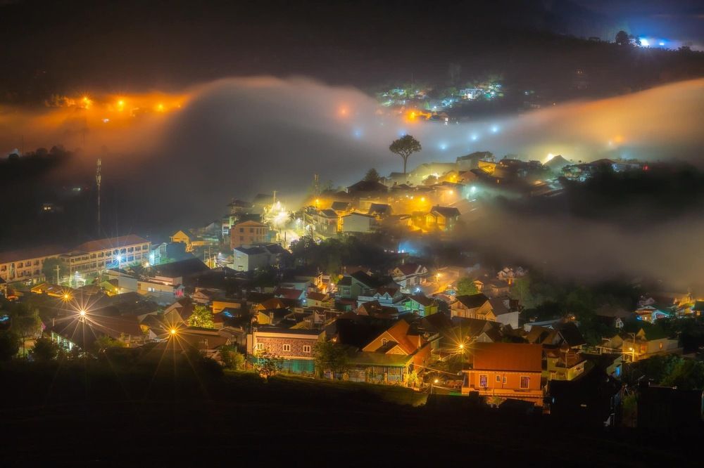 Photograph by Trung Duong