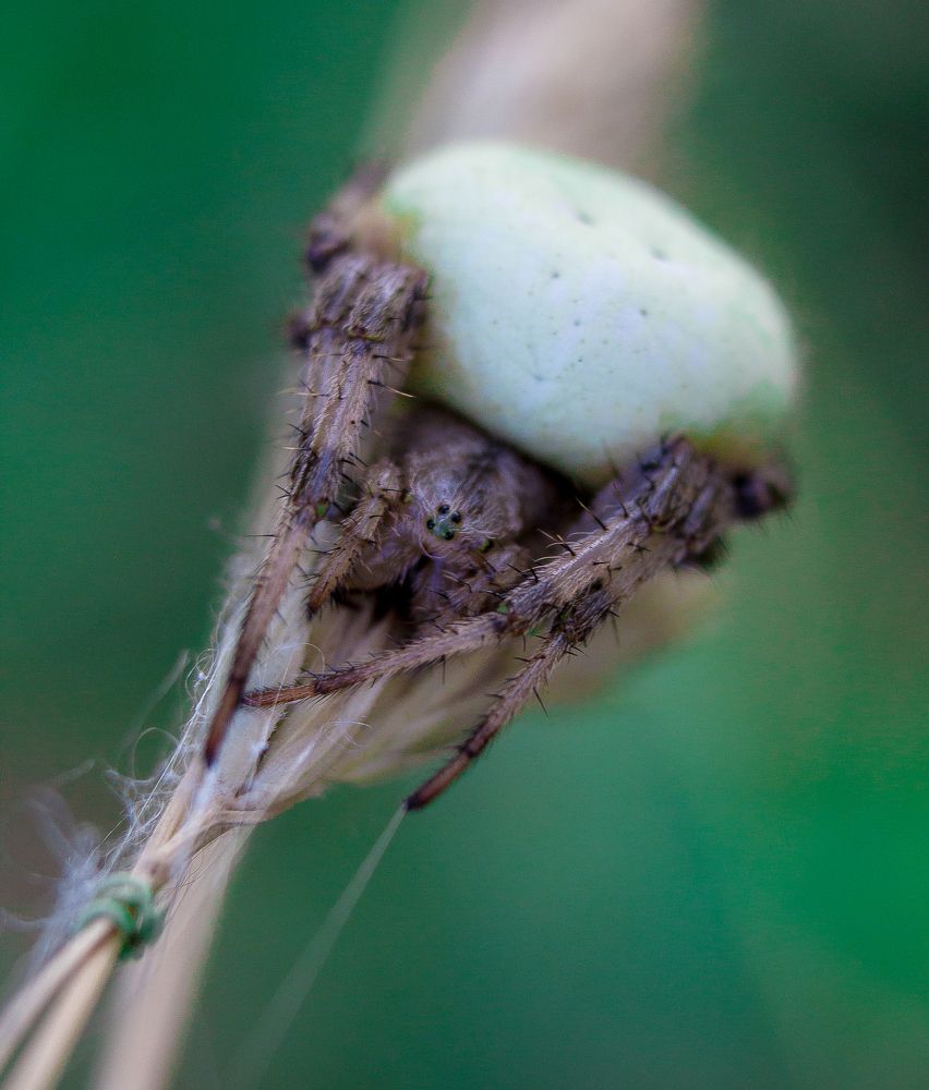 Photograph by Нина Минченко