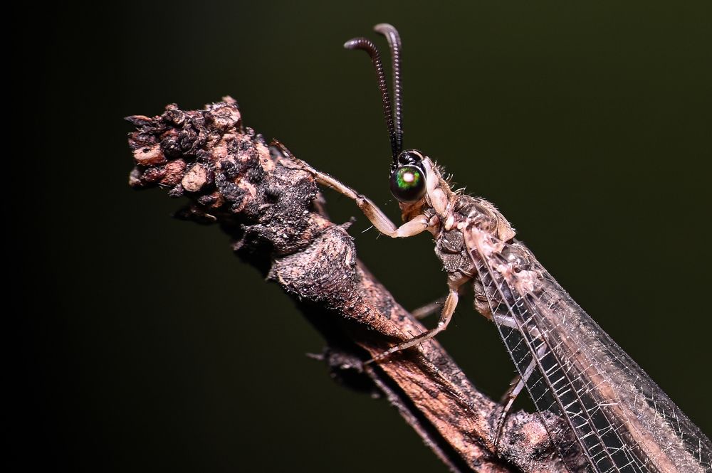 Photograph by Santhosh S