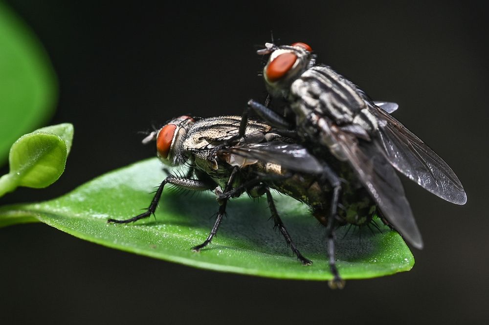 Photograph by Santhosh S