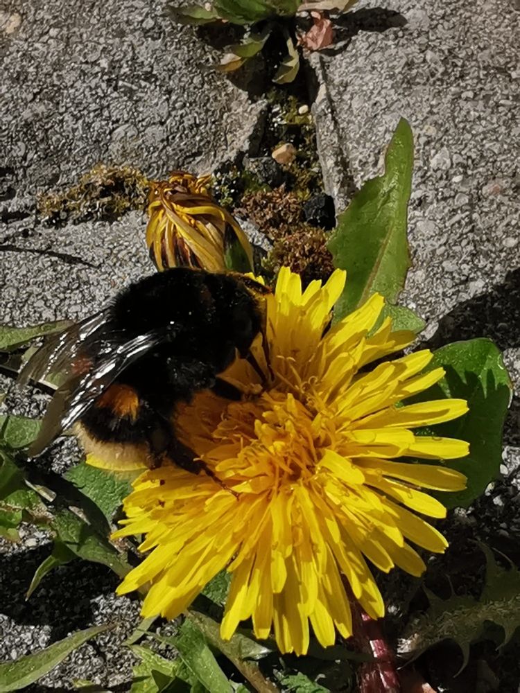 Photograph by Aleksandrs Konstantinovs