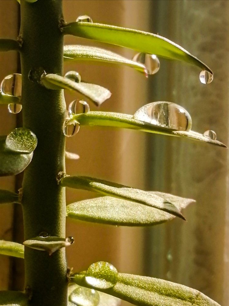 Фотография автора bahar td