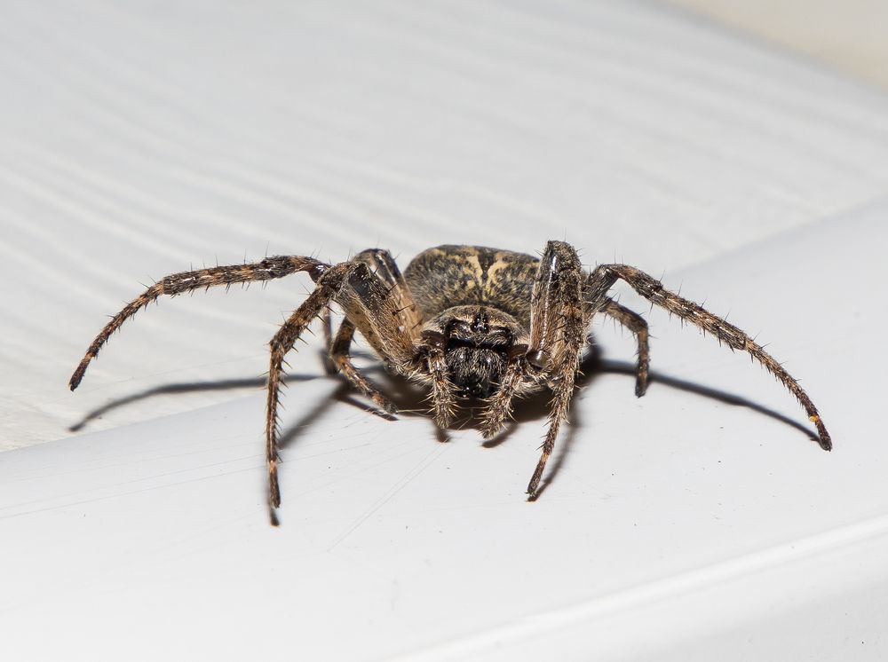 Photograph by Максим Фролов