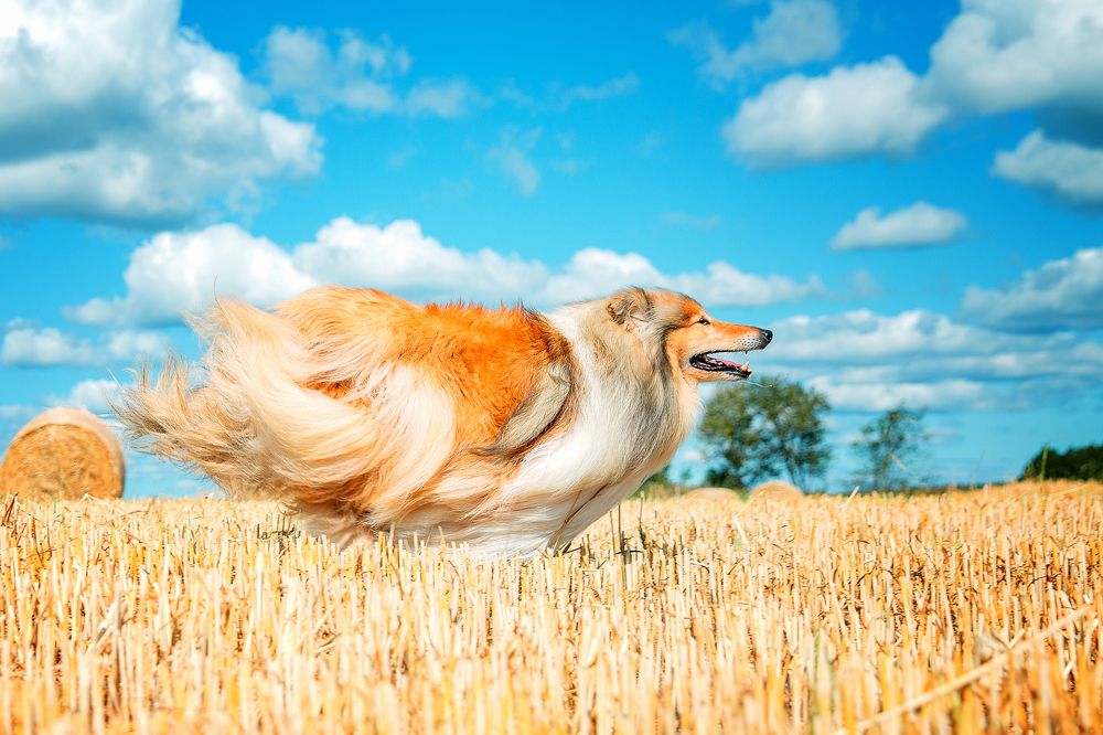 Photograph by Германика Юлия