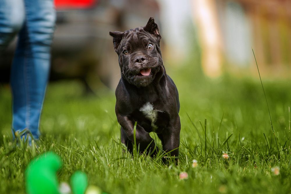 Photograph by Германика Юлия