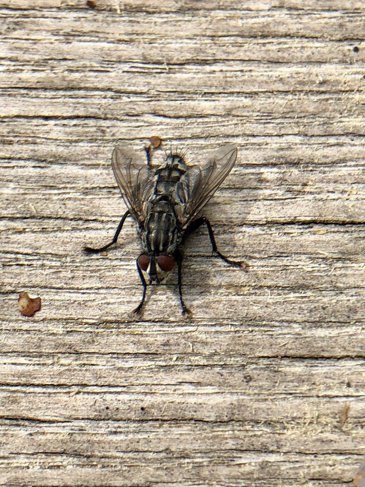 Photograph by Валерия Шишлова