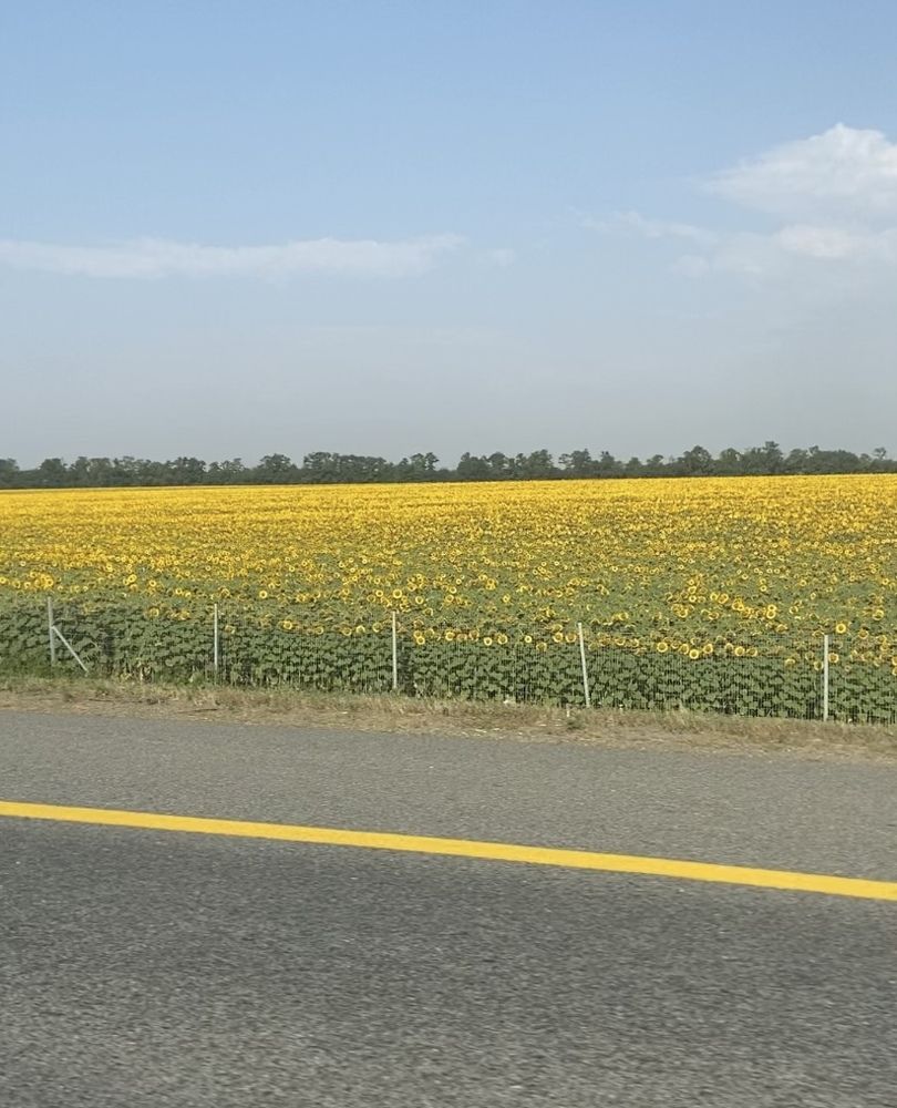 Photograph by Ирина Молибог