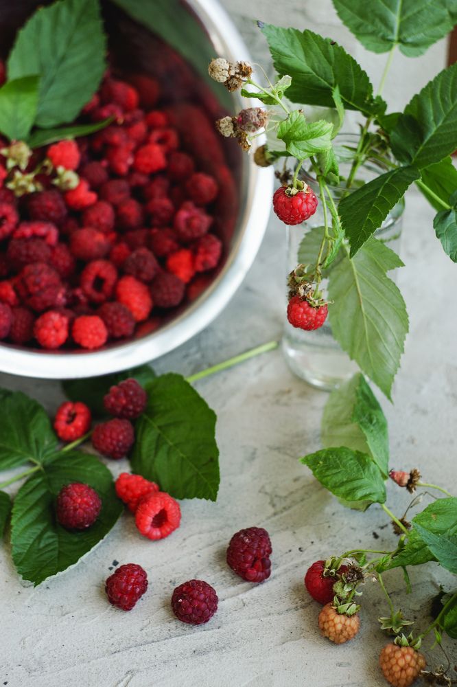 Photograph by Анна Журавлева