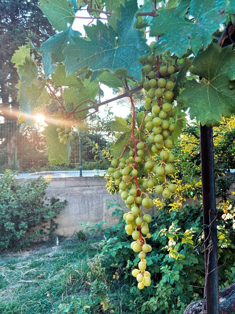 Photograph by Marina Odintsova