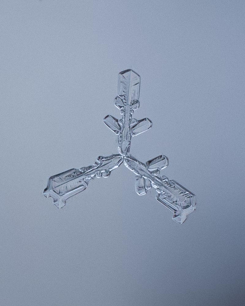 Photograph by Сергей Алимов