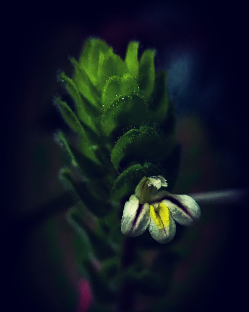 Photograph by Леонид Положевец