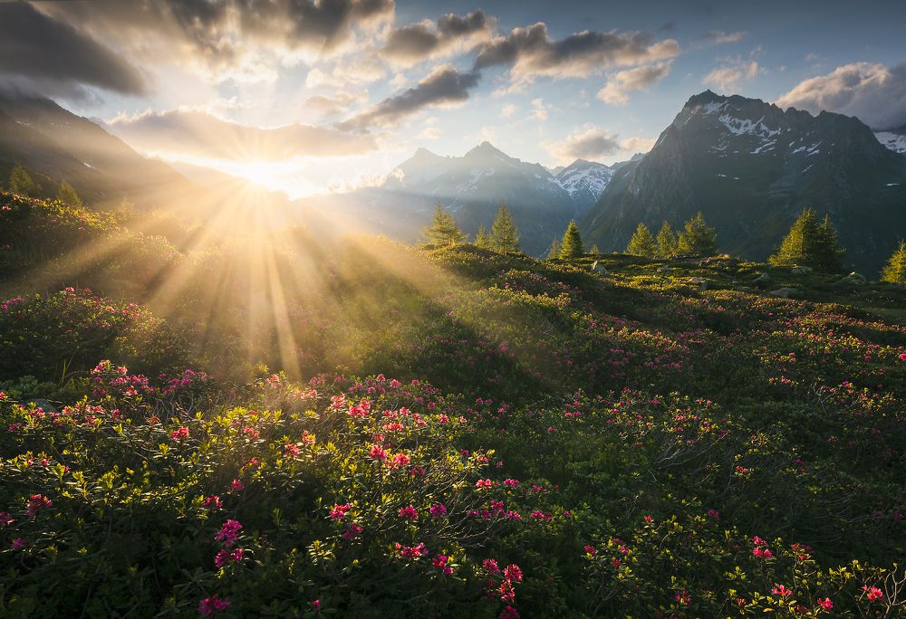 Photograph by Roksolyana Hilevych