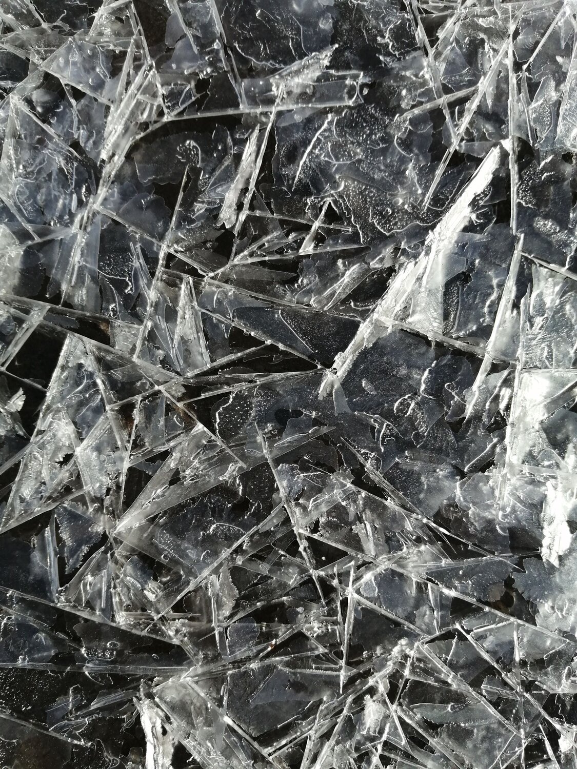 Photo #6345124