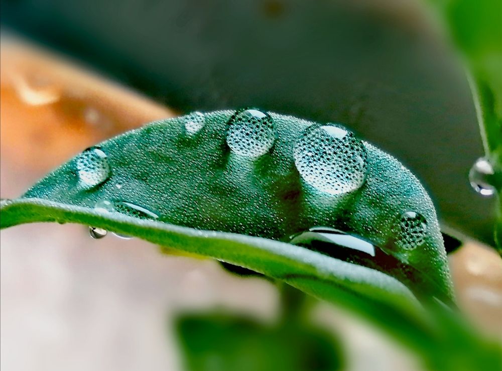 Фотография автора bahar td