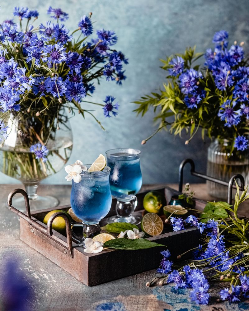 Фотография автора Марина Кузнецова