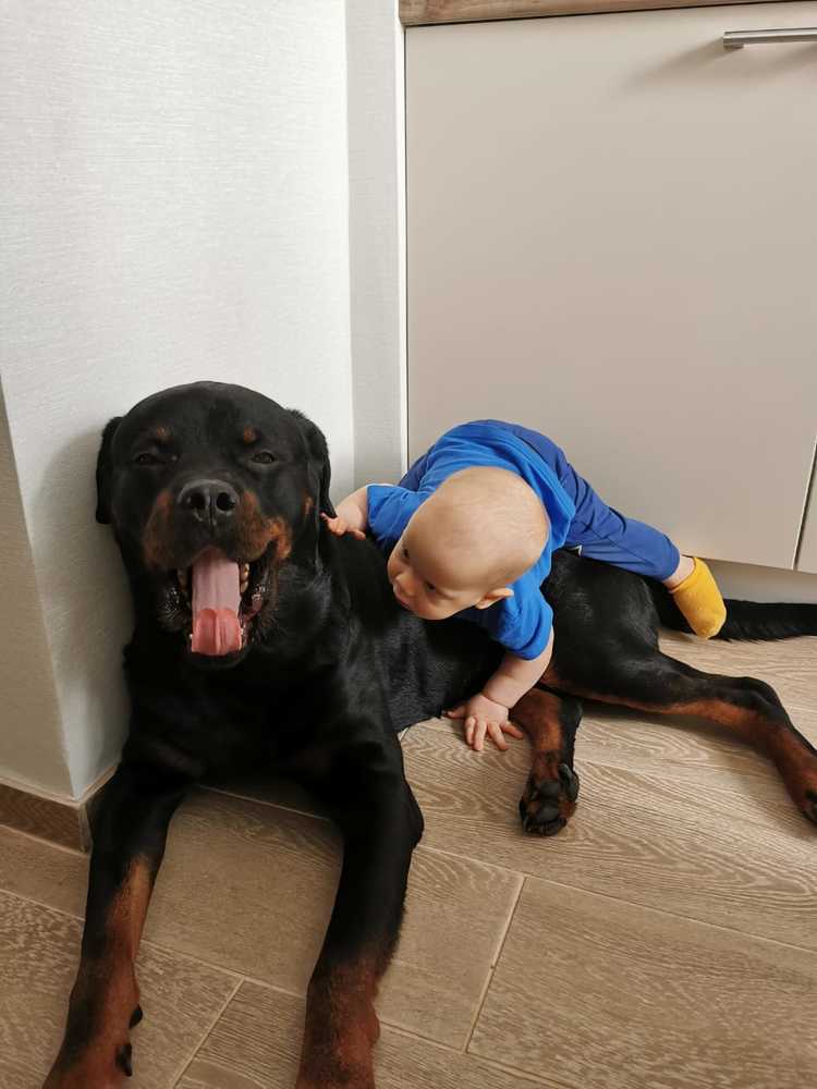 Photograph by Александр