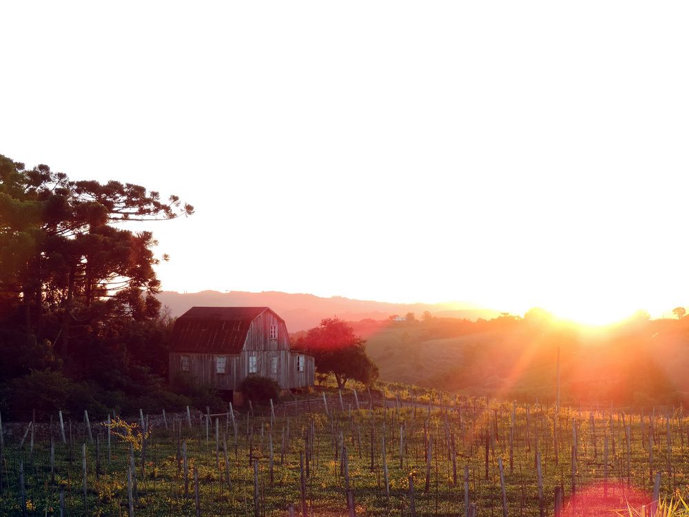 Photograph by Jair Jorge da Silva