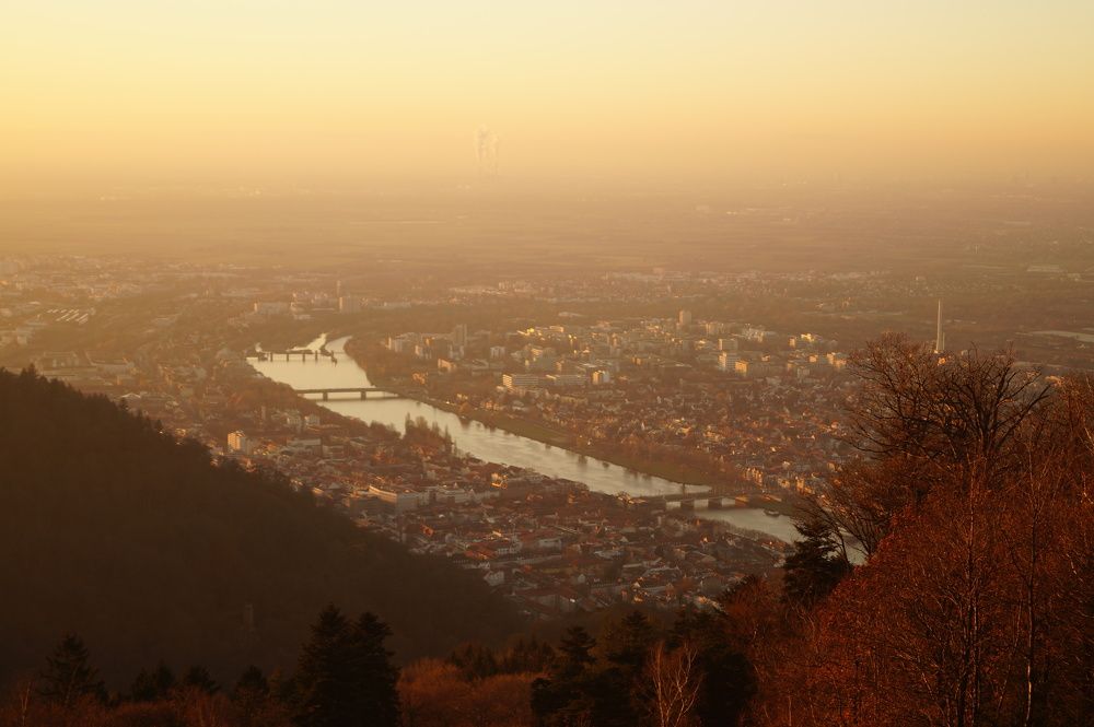 Photograph by Юлия Лазебная