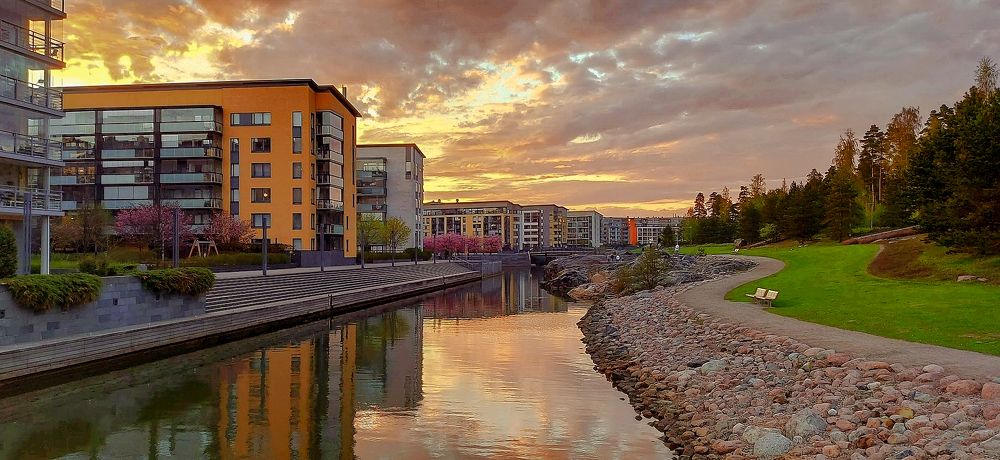 Cherry Blossom Evening