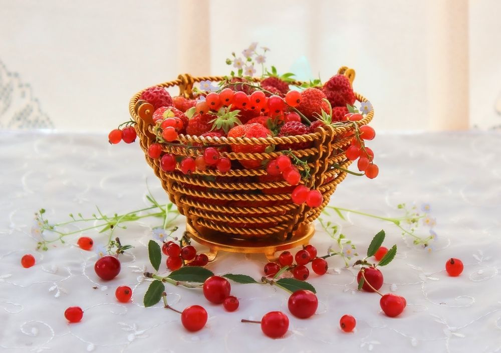 Photograph by Ольга Ситникова