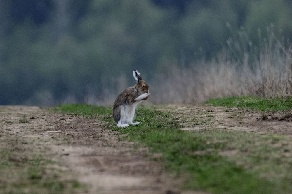 Photograph by Алексей Логинов