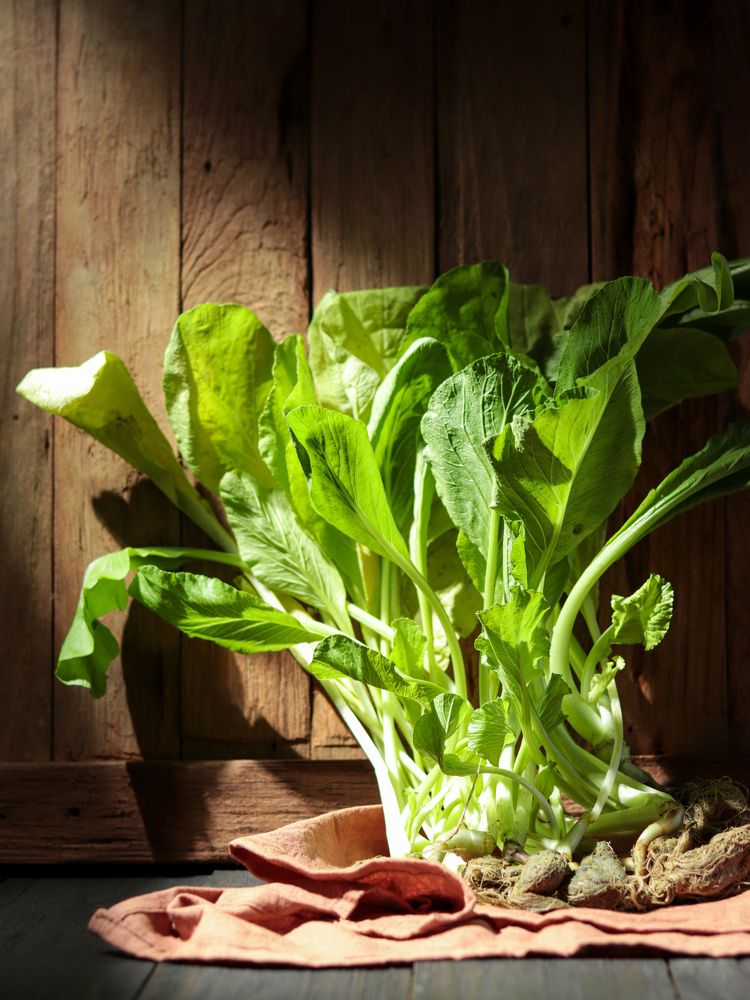 Photograph by Eka Putri Utami