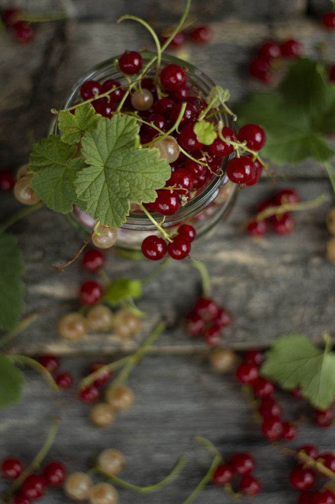 Photograph by Светлана Осипова